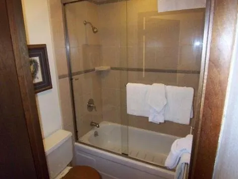 1 Bedroom Standard Condos Mammoth Lakes Lejlighed